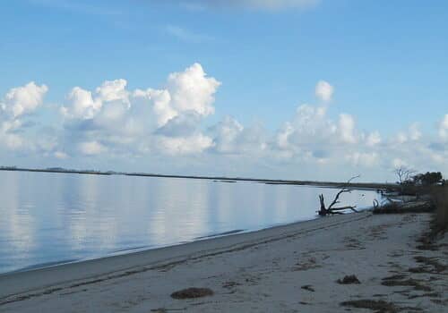 Photo courtesy of Maryland Natural Resources