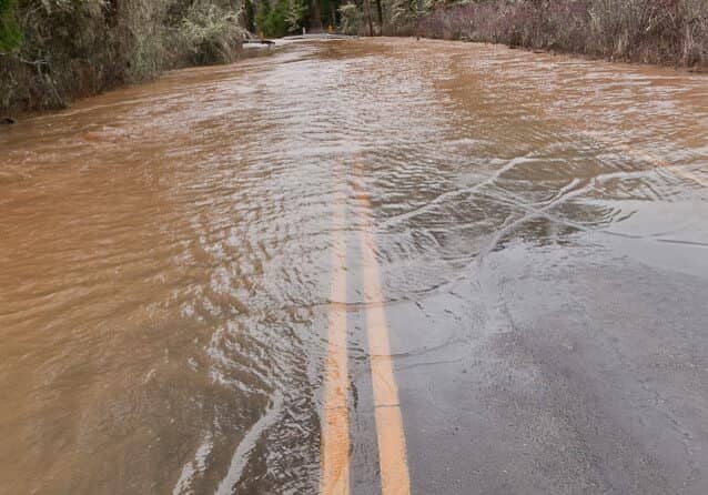 Flooded Road with Trees - Photo © Copyright Vlue/Shutterstock