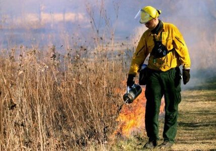 terski-firefighter-5856332_640