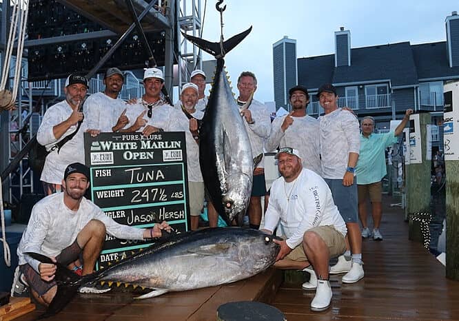 Southern Cs big tuna caught Aug. 10th, photo courtesy White Marlin Open