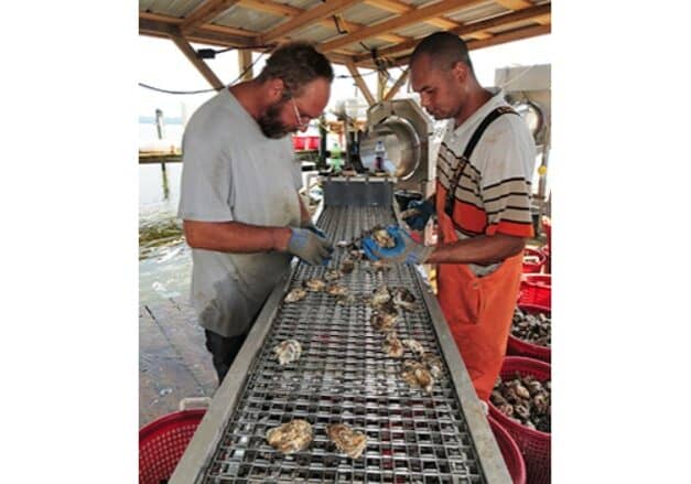 work 2 live well cambridge program